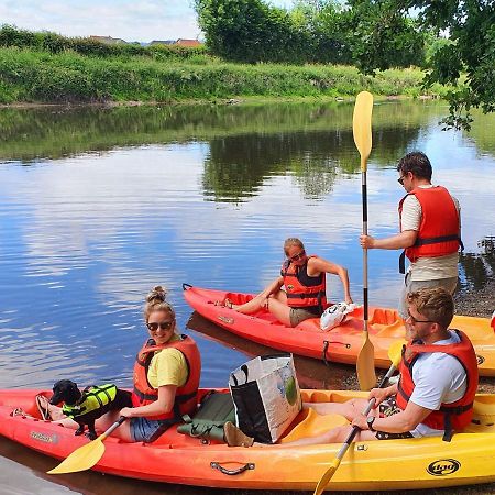 Camping Des 2 Rives- Mobilhomes Etang-sur-Arroux エクステリア 写真